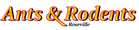 Roseville Ant Exterminator & Rodent Control Company Logo